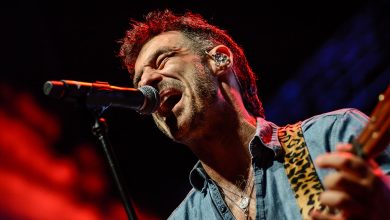 thecatempire campopequeno 20250916©luismserrao ineews s6081